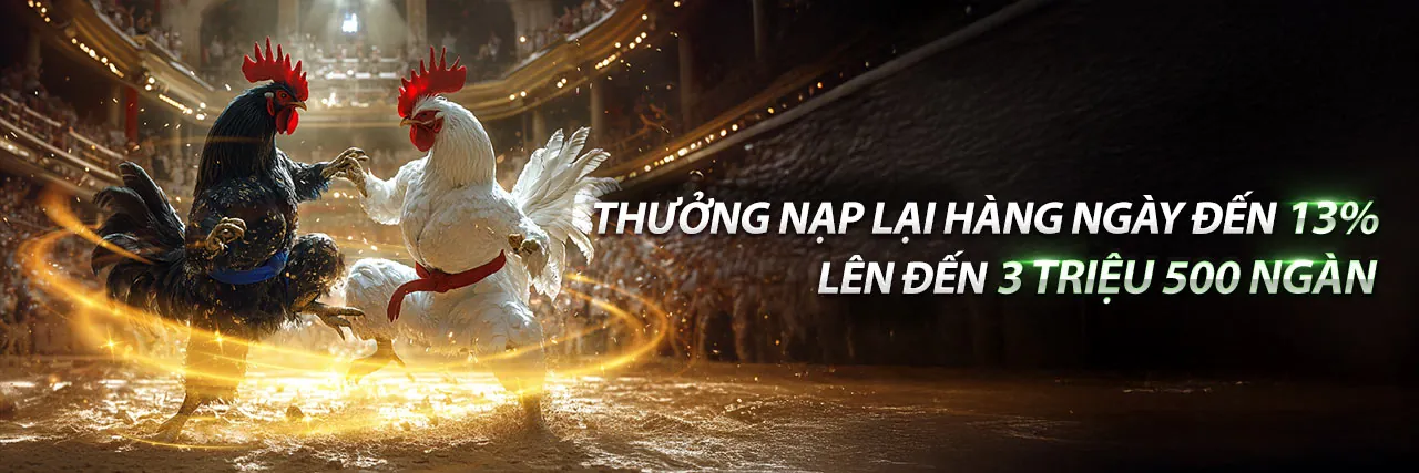 Chương Trình VIP Độc Quyền w66 casino