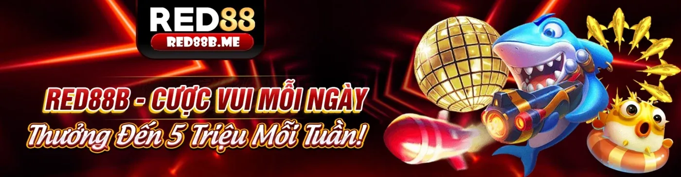 Hình ảnh đại diện cho Tuân thủ GDPR và bảo vệ dữ liệu tại w66 casino