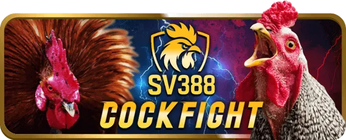 Hệ Thống RNG