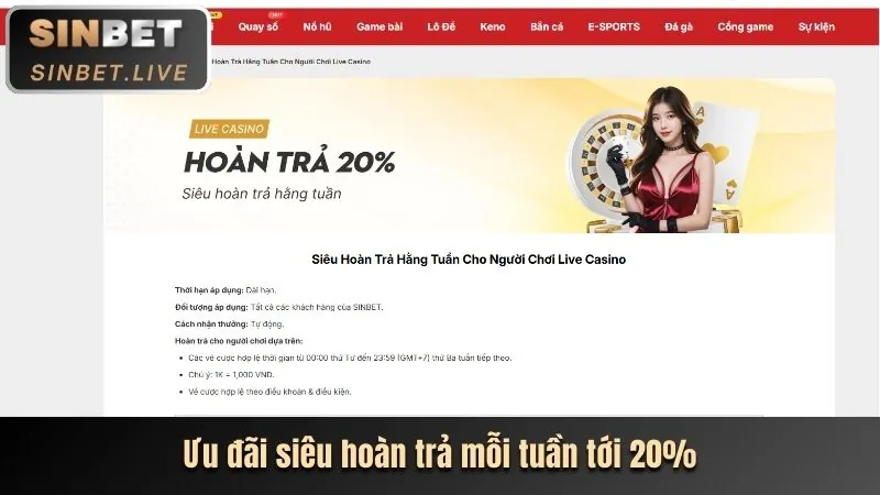 Giao diện tổng quan blog w66 Casino với các bài viết đa dạng